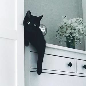 Meet your Posher, Magdalena